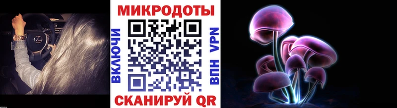 Псилоцибиновые грибы ЛСД где купить Королёв